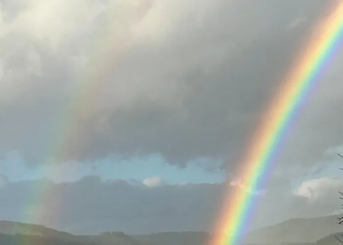 Tannenhof 3* וויטליך